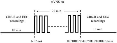 Optimizing the modulation paradigm of transcutaneous auricular vagus nerve stimulation in patients with disorders of consciousness: A prospective exploratory pilot study protocol